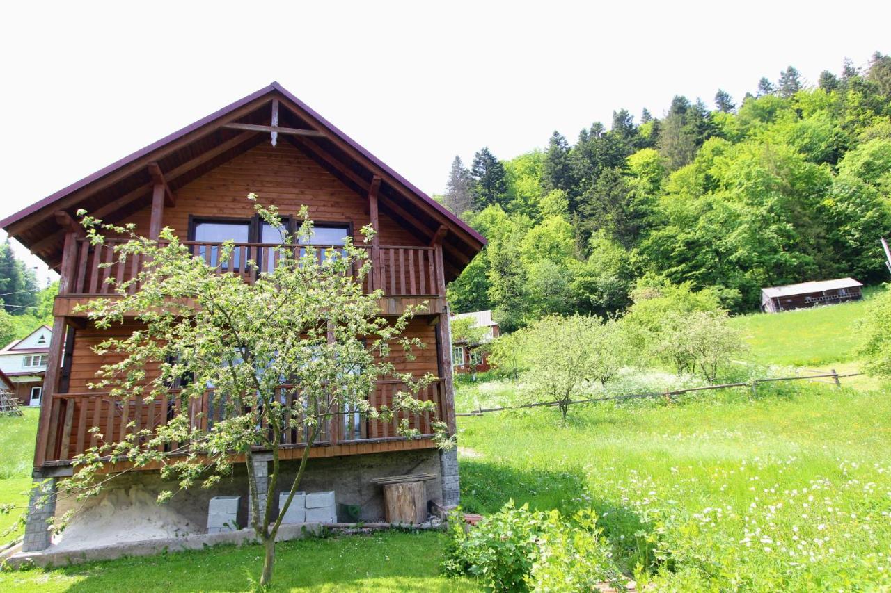 Котедж "Карпатський Краєвид" Jaremtsche Exterior foto