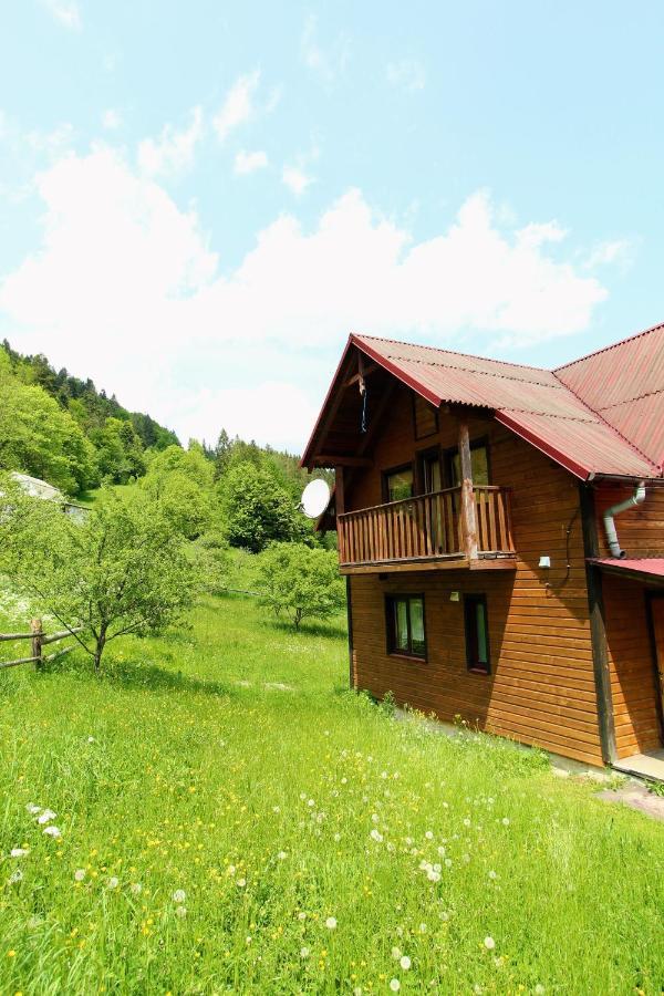 Котедж "Карпатський Краєвид" Jaremtsche Exterior foto
